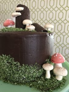 Edible Coconut Moss Woodland Cake Meringue Mushrooms Faux Bois Chocolate