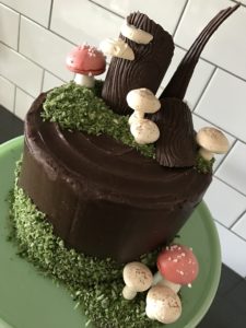 Edible Coconut Moss Woodland Cake Meringue Mushrooms Faux Bois Chocolate