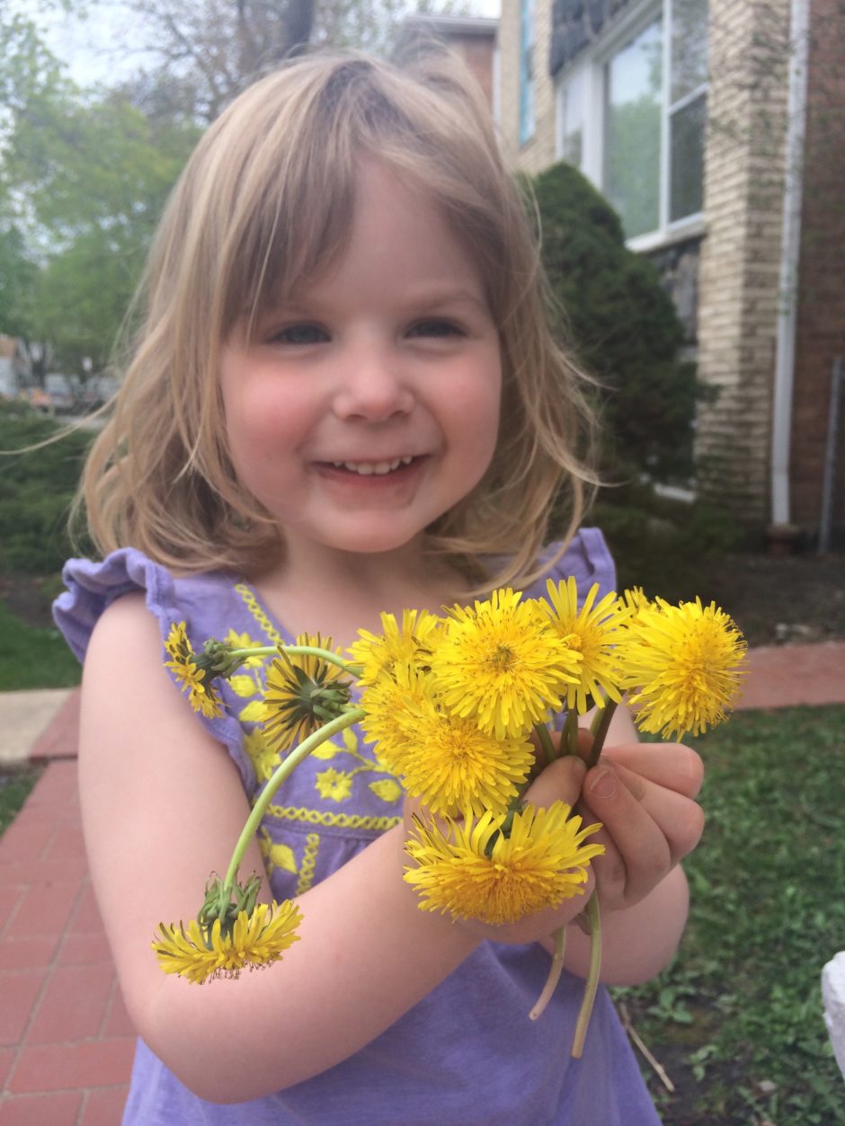 Dandelion Jelly Recipe-Delicate, Honey-Like Flavor of Spring Sunshine