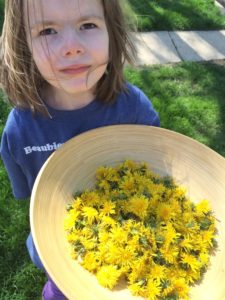 Dandelion Jelly Recipe